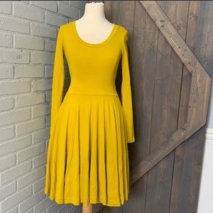 Zara Long Sleeve A-Line Dress